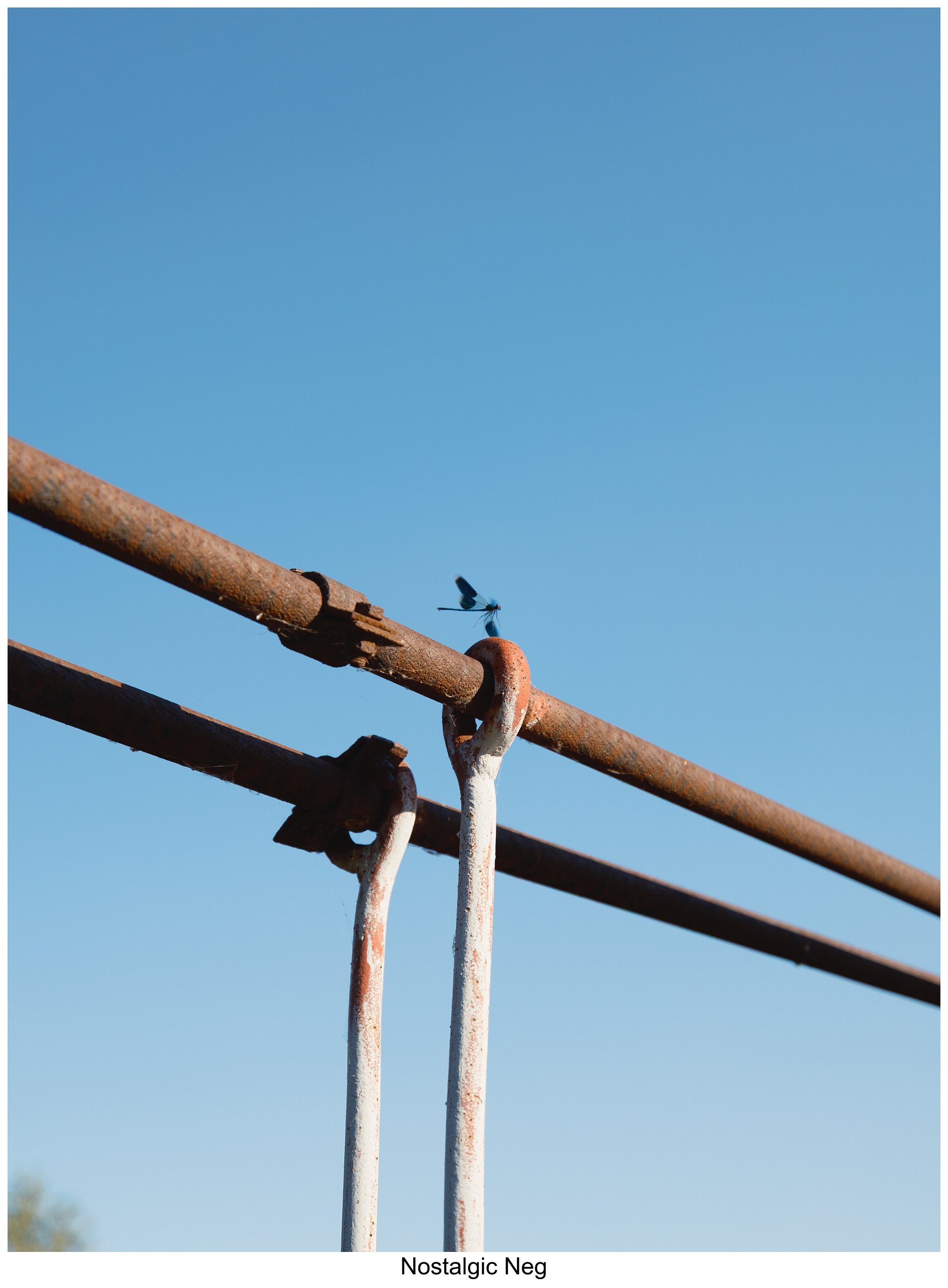 Fujify [Canon] Lightroom Profiles - Complete Pack product image (5)
