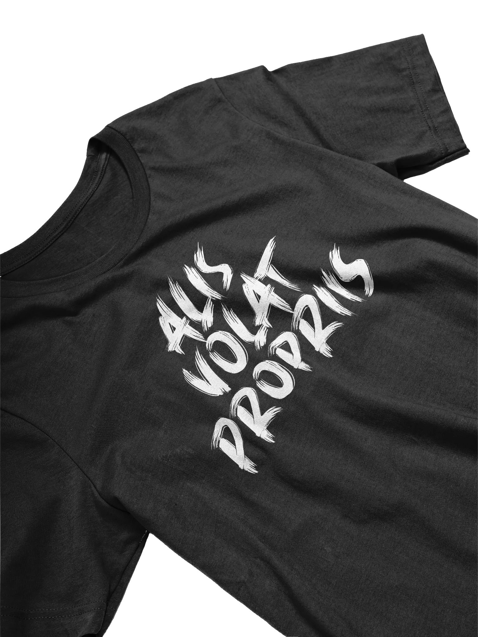 Alis Volat Propriis Bold Brush T-Shirt product image (2)
