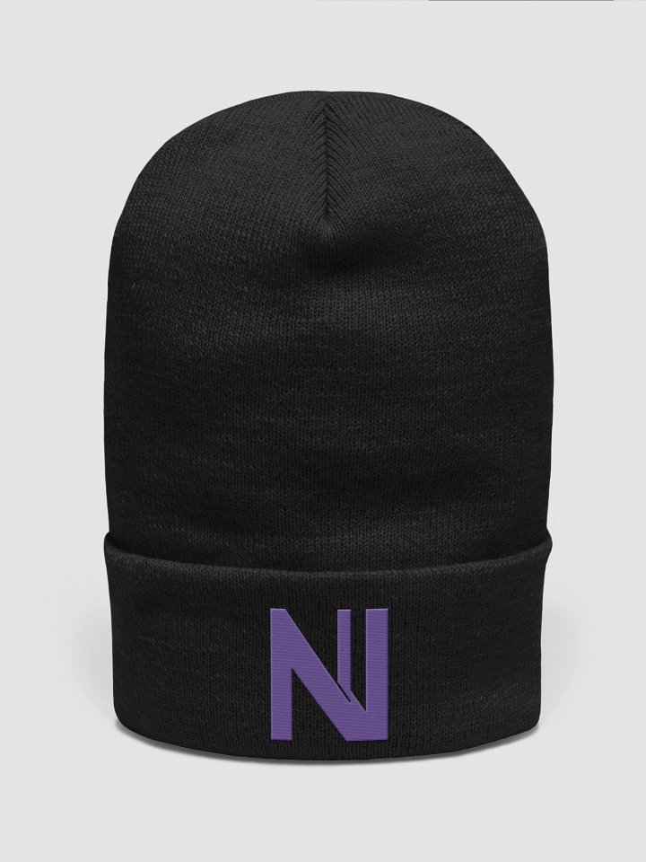 Flaskn beanie (purple logo) product image (1)
