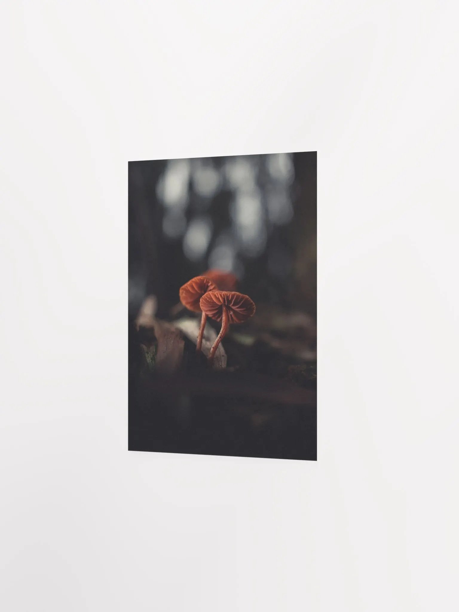 Lost product image (7)