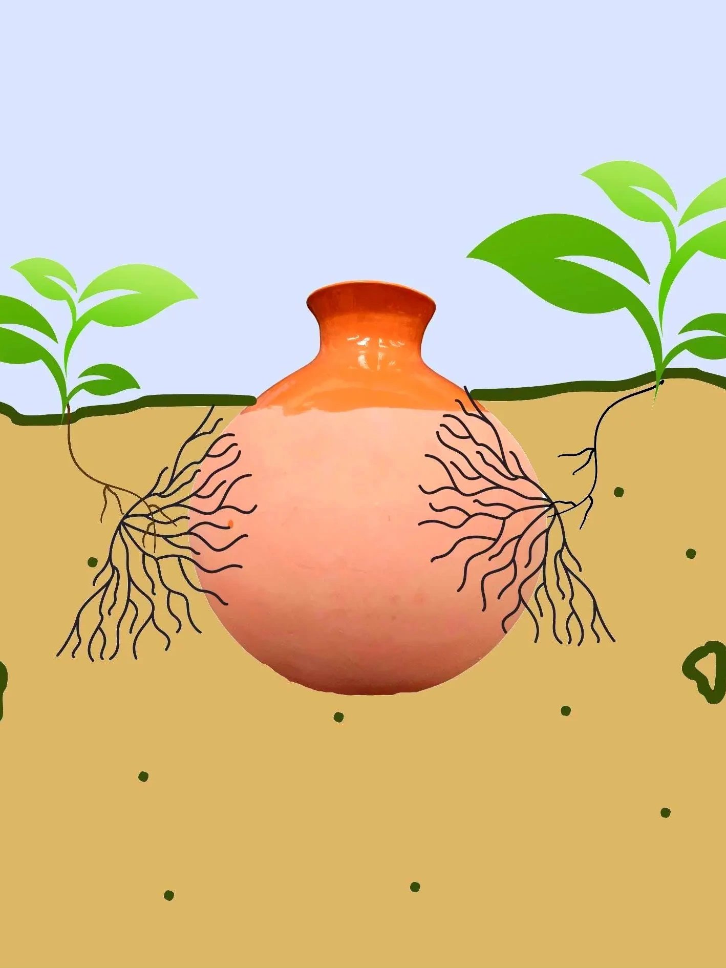 Small Olla Gardening product image (6)