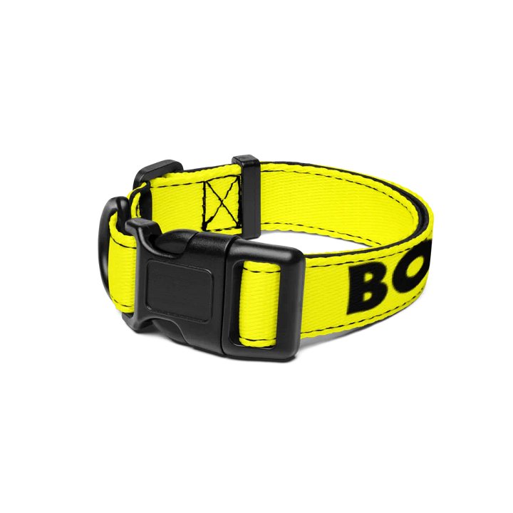 Pet Collar with Heartfelt Words 💛⚫️ Bob's Sniffing Patrol product image (1)