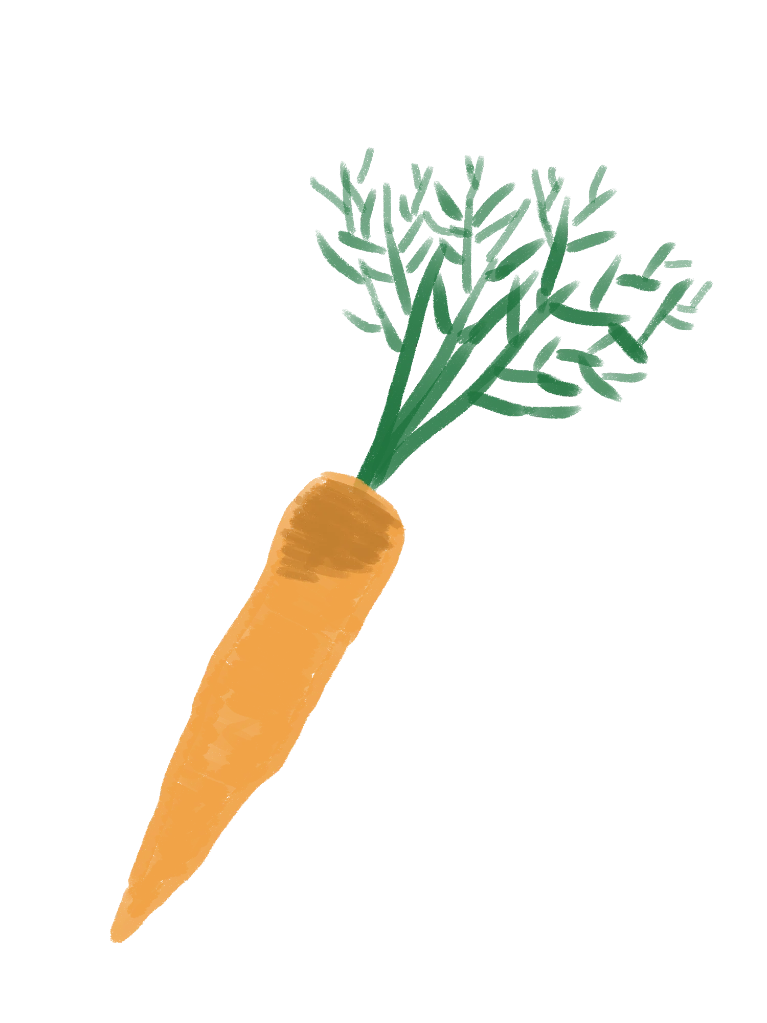 15 Hand-Drawn Fruit & Vegetable PNG Clipart Bundle product image (11)