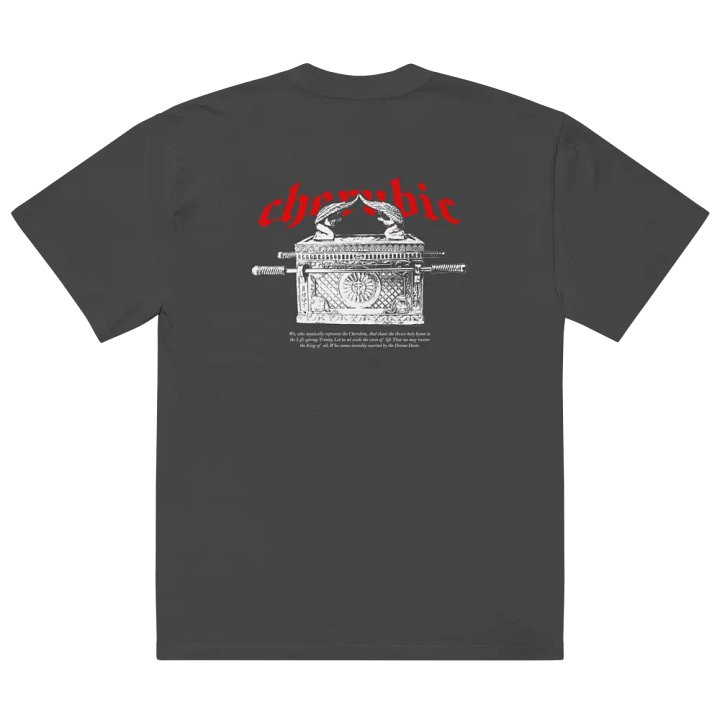 Cherubim Oversized Tee product image (1)