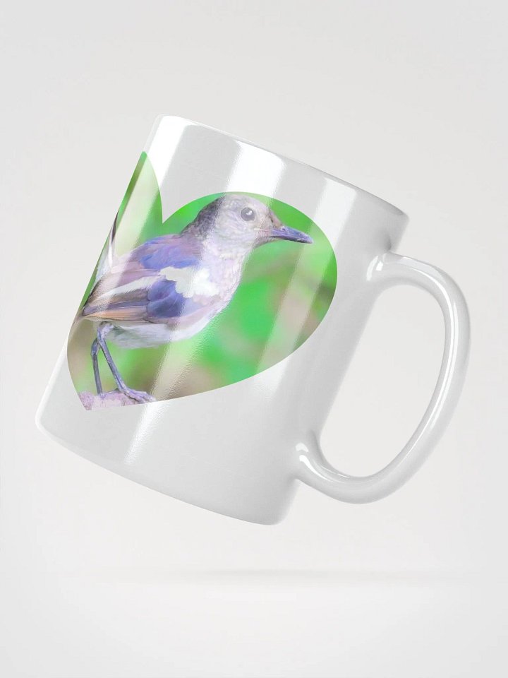 IUCAA Birds WHITE MUG product image (4)