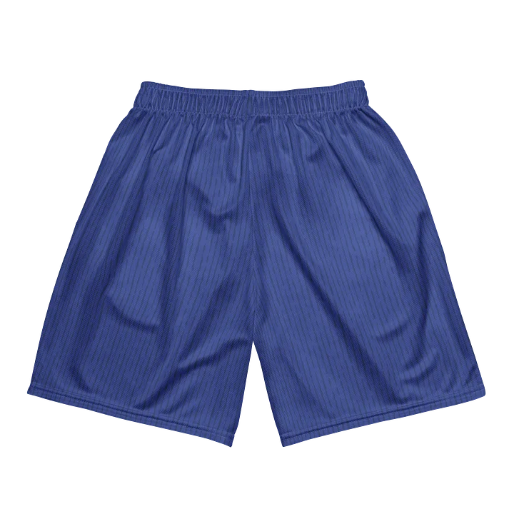 World Cup Underdog Project - USA Shorts product image (2)