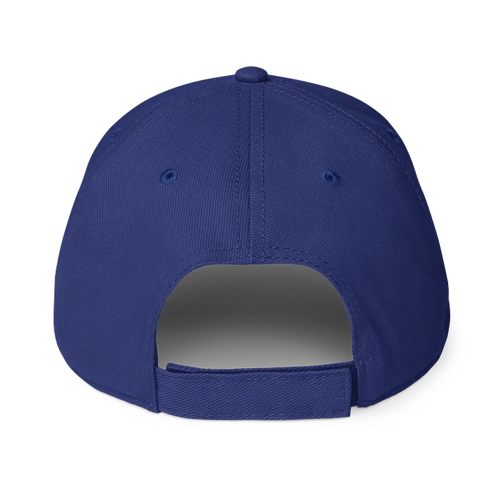 Life & Liberty Hat product image (2)