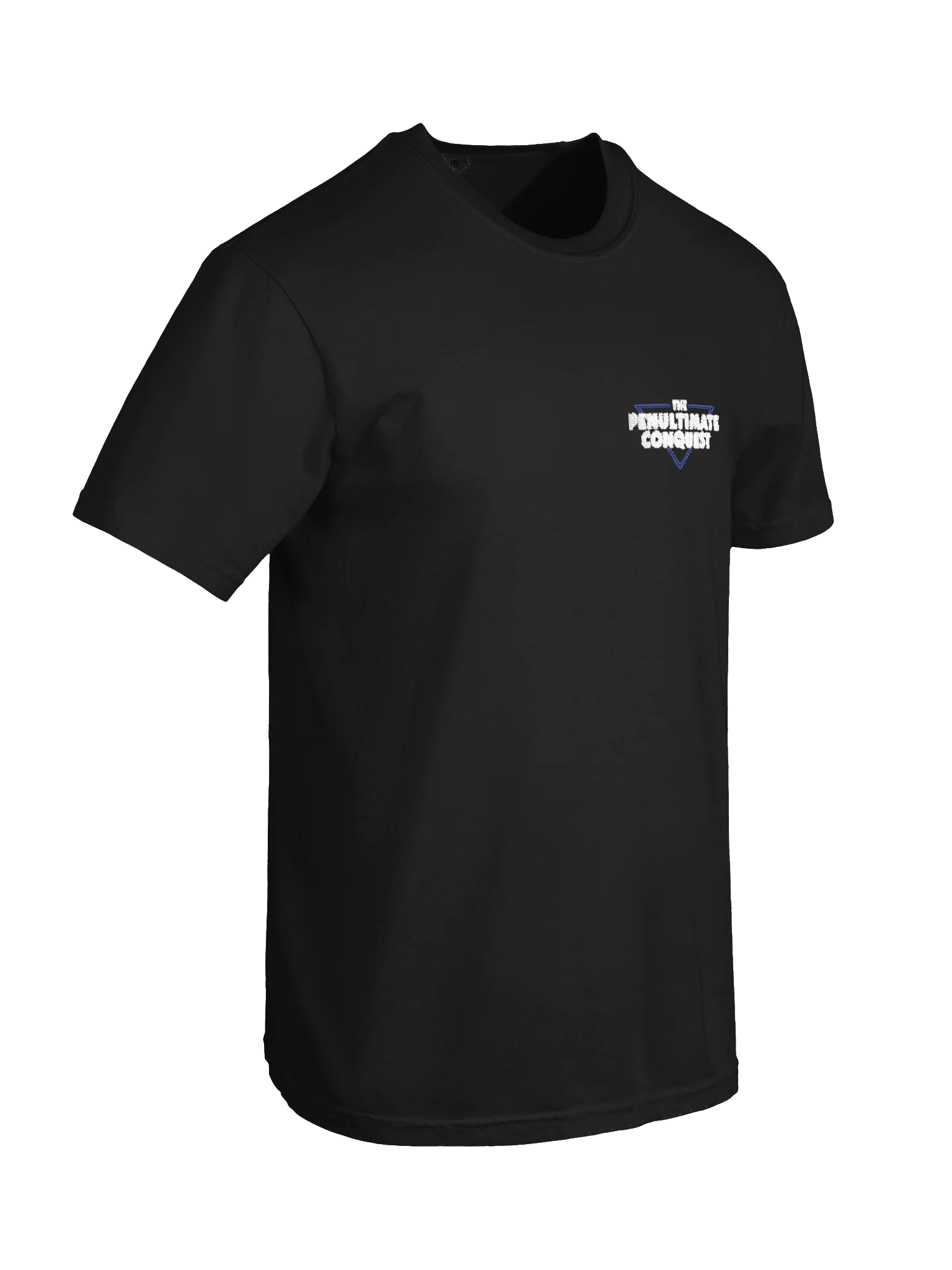 The Penultimate Embroidered Tee product image (8)