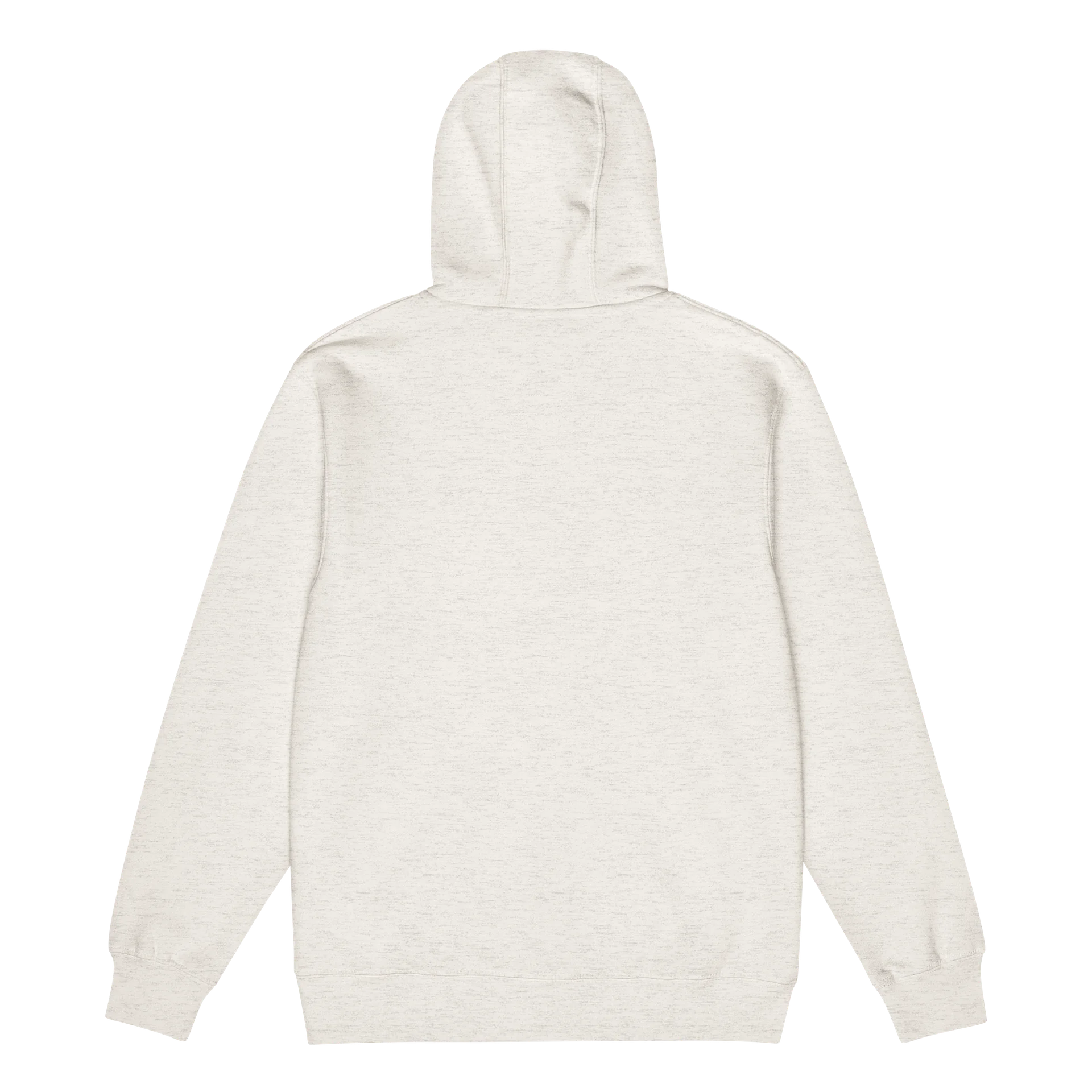 FBC Zip-Up Hoodie (LIGHTS) product image (11)