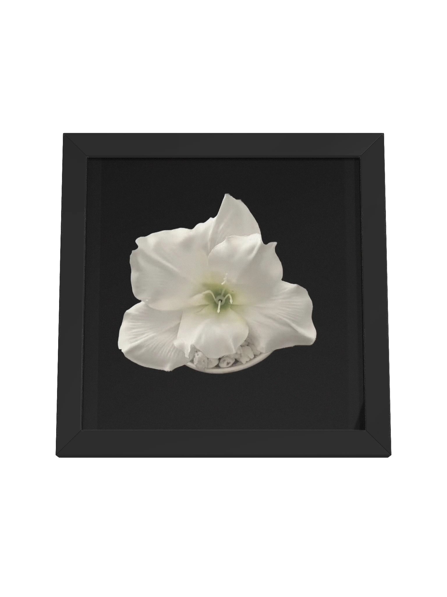 Purifying Flower product image (37)