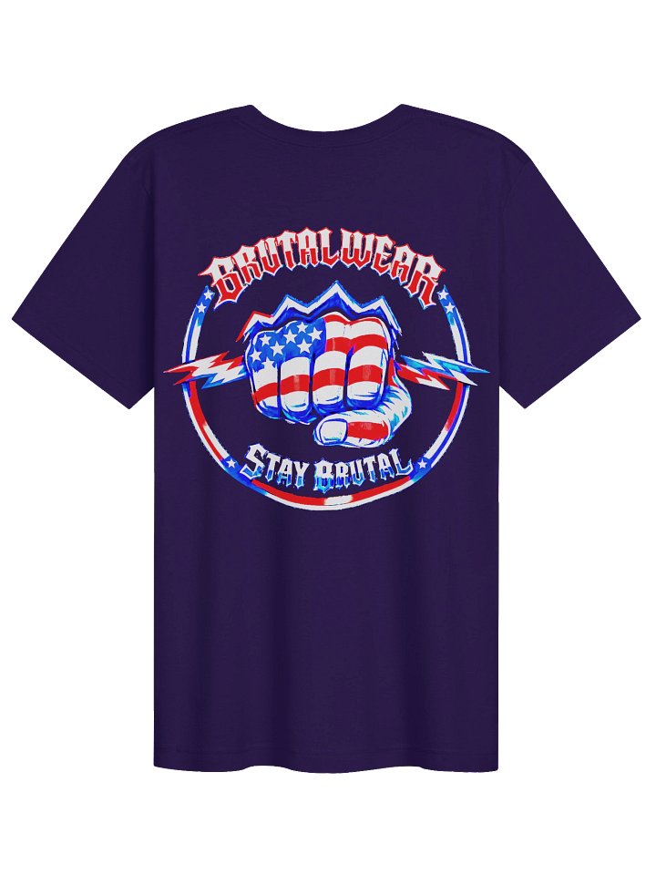 BWEAR BWBLVS/USAFOL LADIES GRAPHIC TEE product image (12)