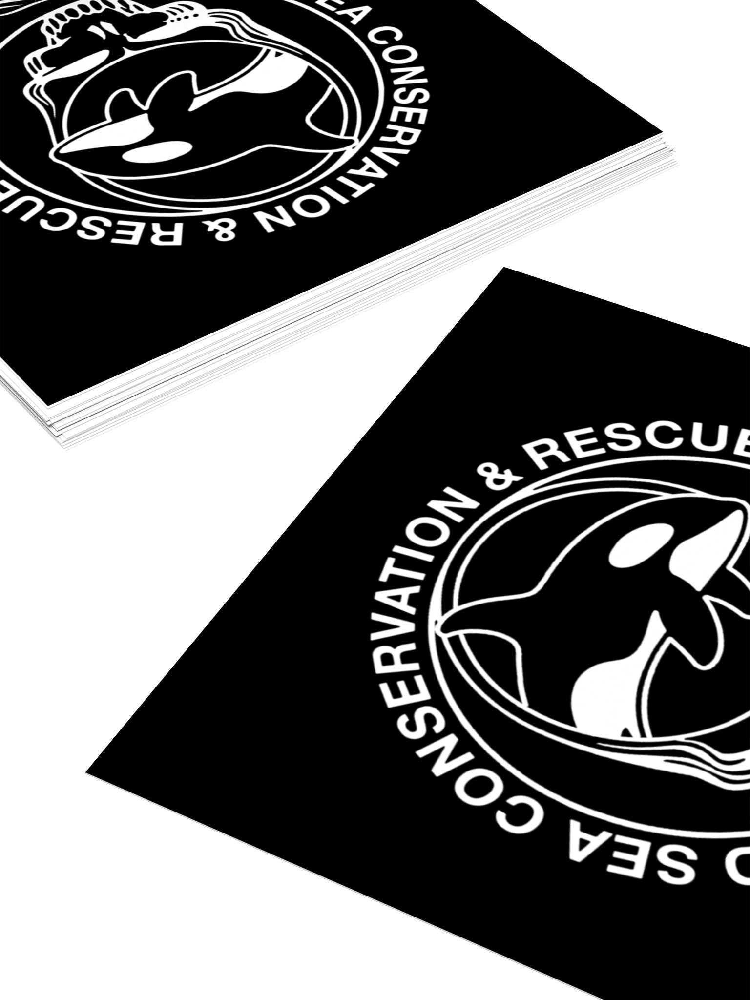 ORCA CONSERVATION STICKER product image (4)