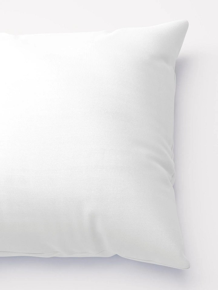 Beethoven - Masterful Musician | Pillow product image (2)