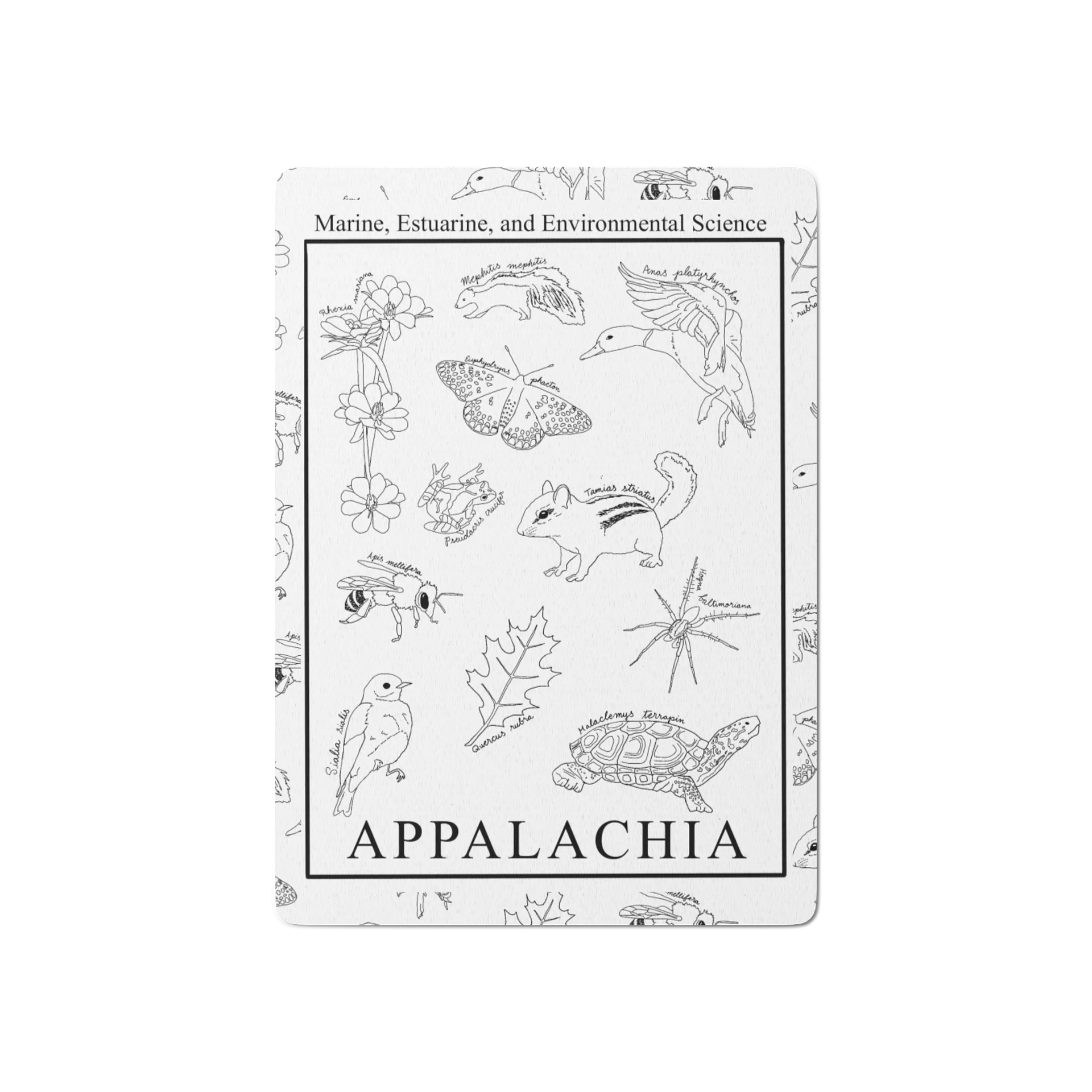 Appalachia Playing Cards product image (1)