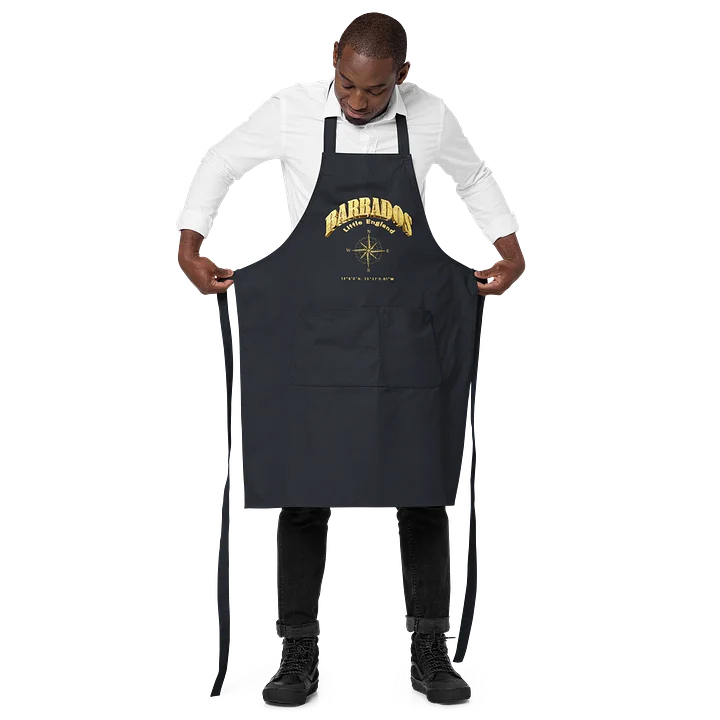 Compass - Barbados - Vintage Gold | Organic Cotton Apron | 4 Colors product image (2)