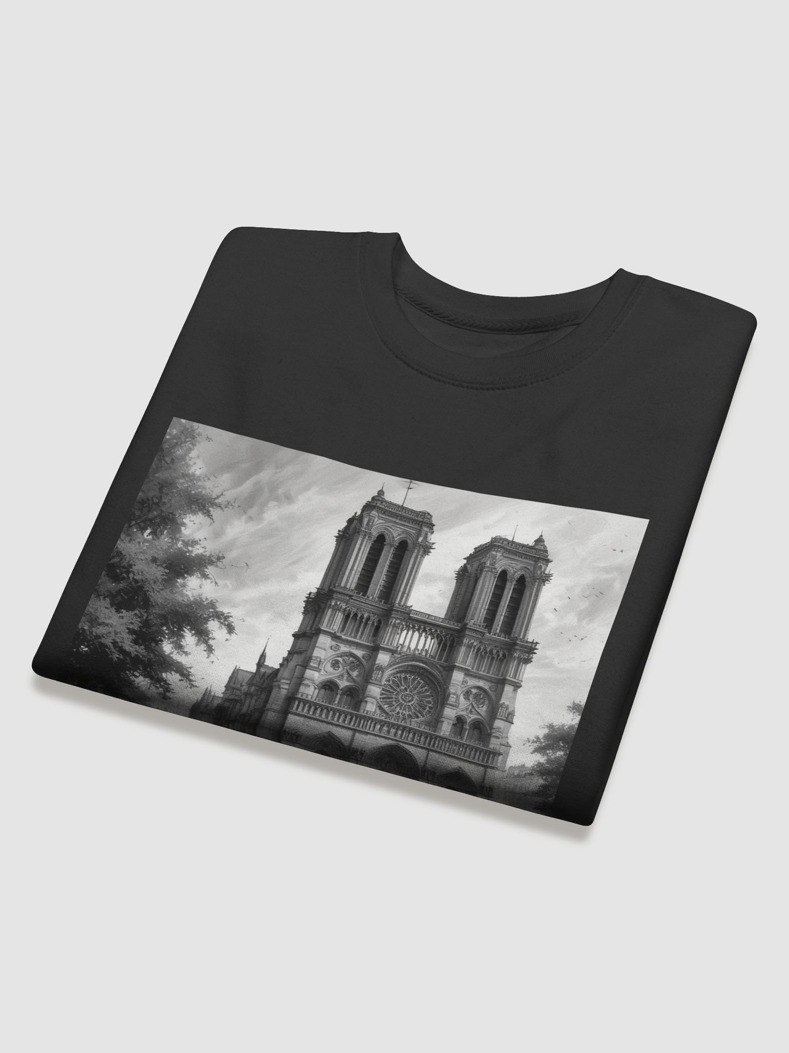notre dame de paris product image (39)
