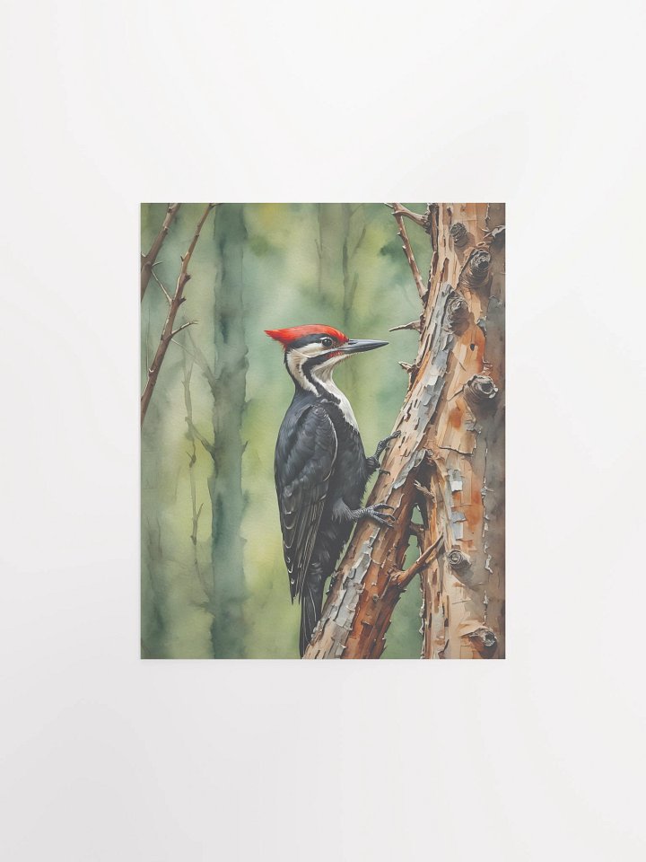 Pileated Woodpecker Matte Poster product image (2)
