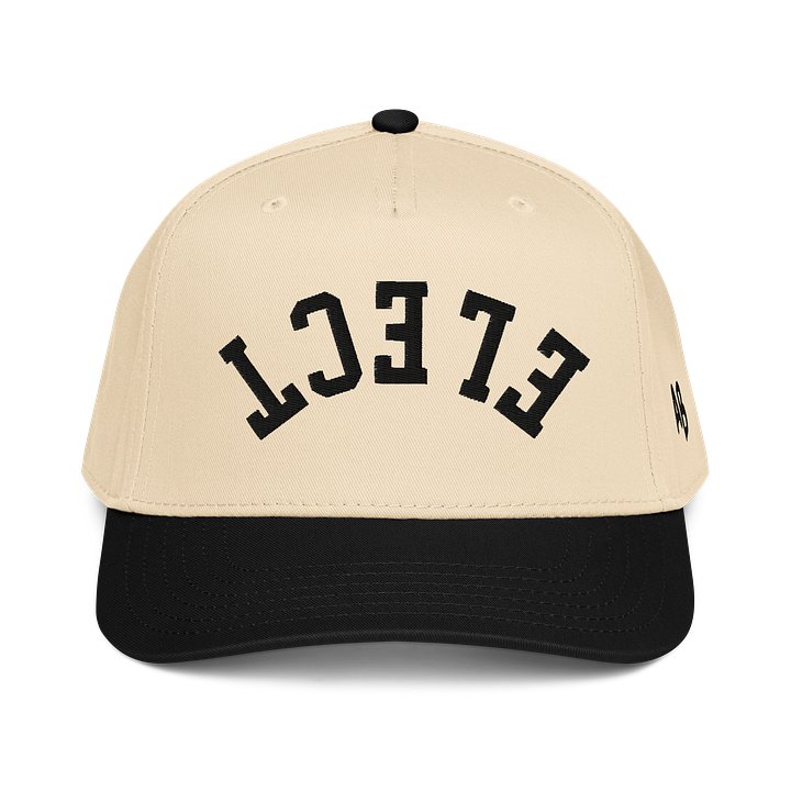 ELECT Hat - Antone Brothers product image (5)