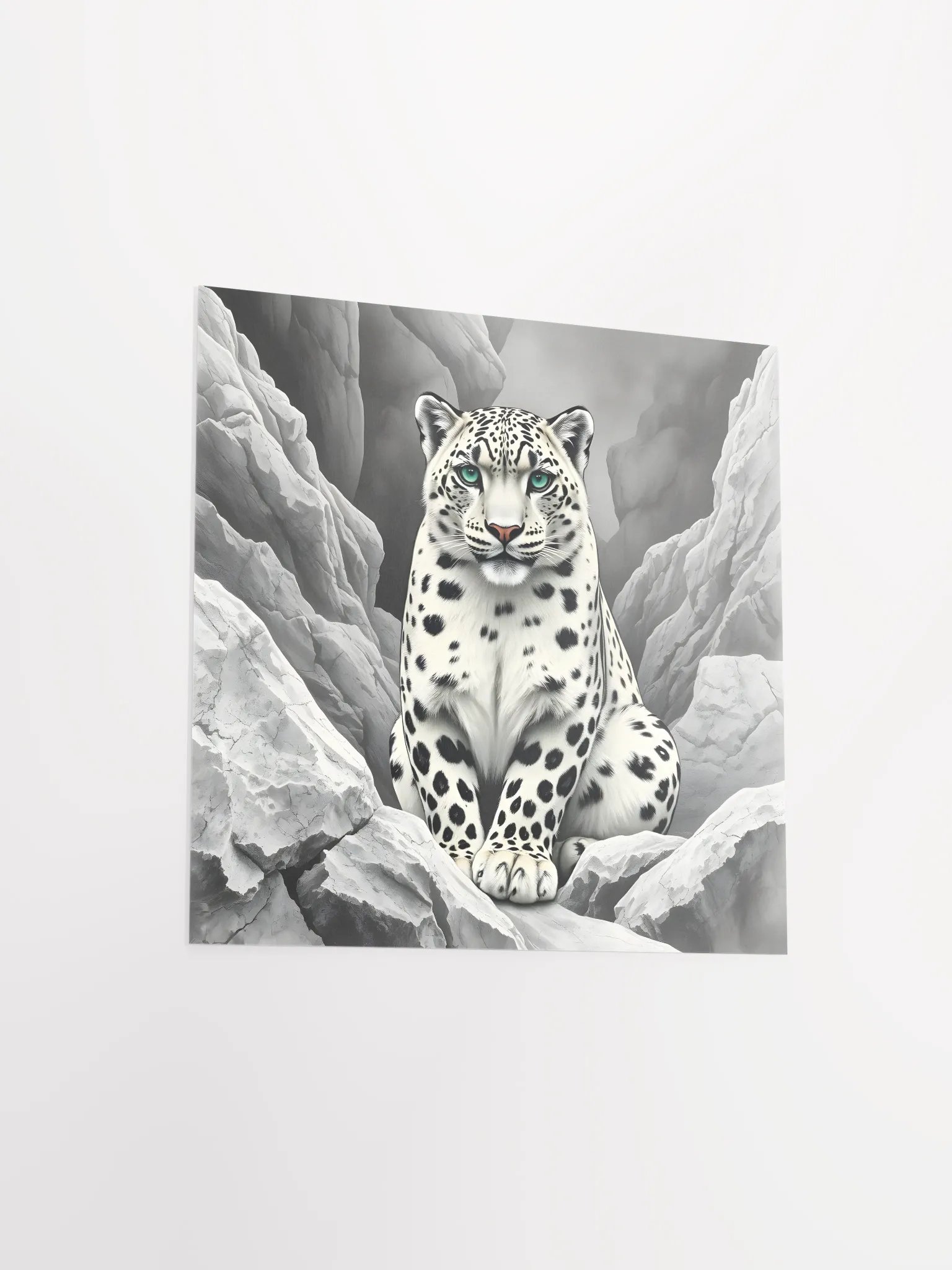 Snowleopard product image (13)