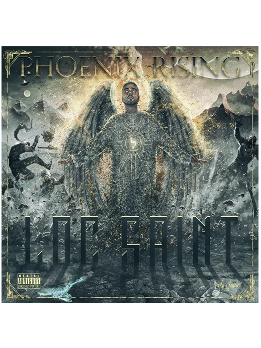 Phoenix Rising Physical CD product image (1)