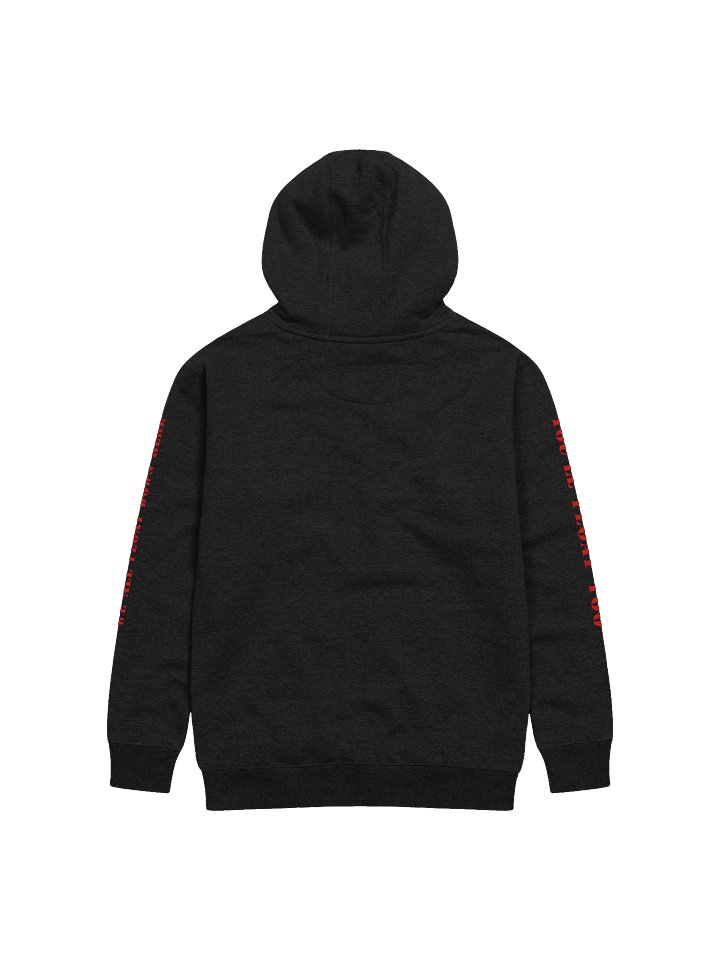 Lit Pennywise Hoodie product image (2)
