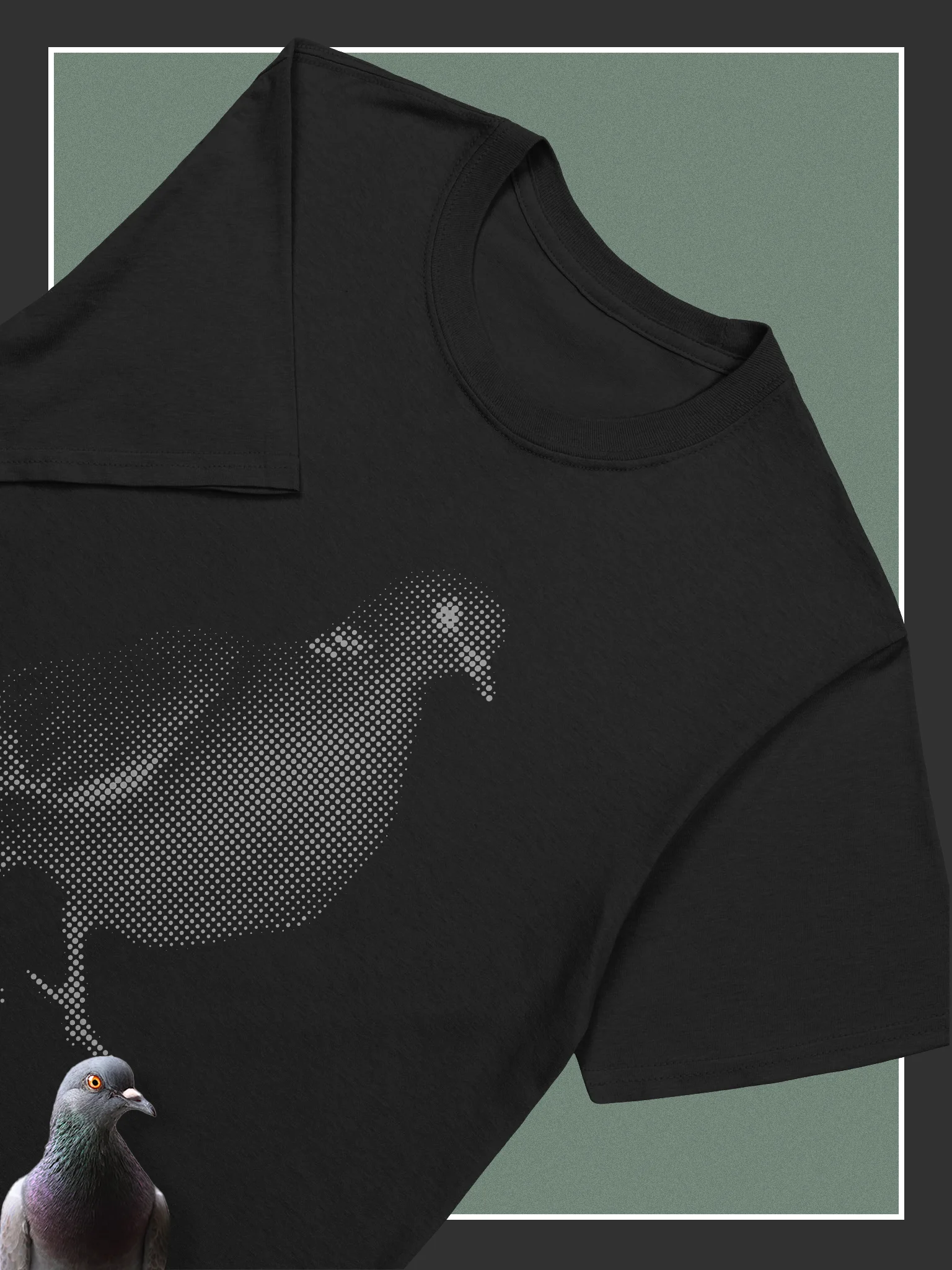 Pigeon product image (2)