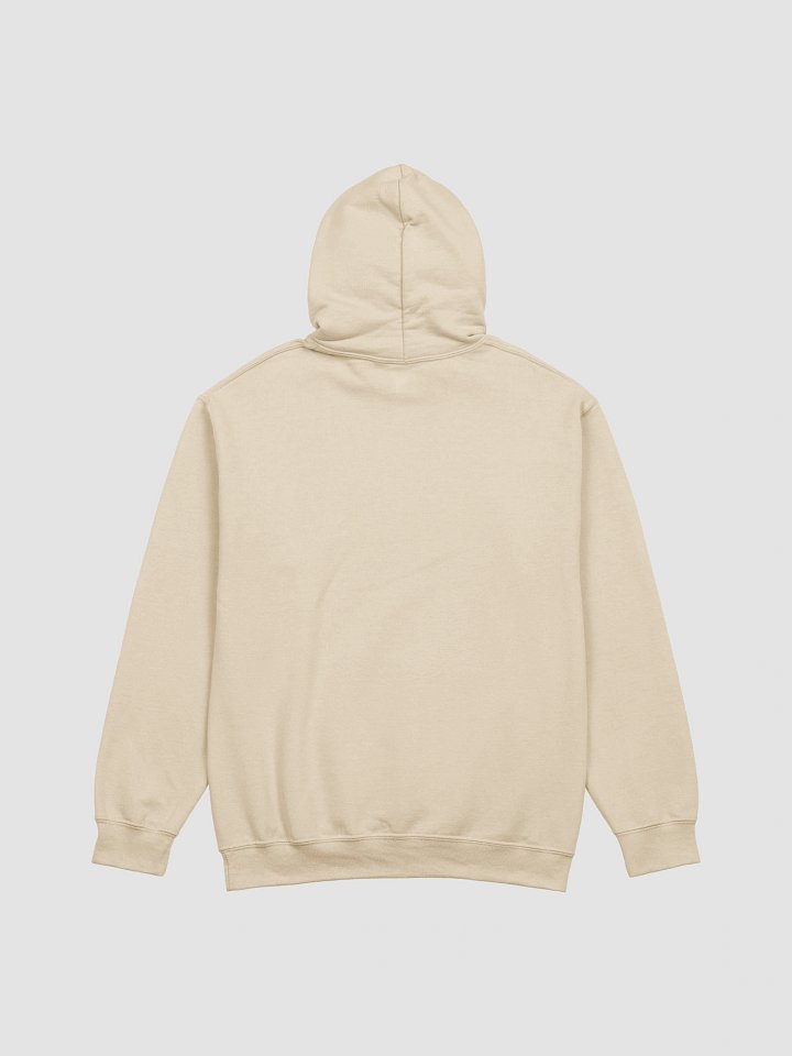 Skull Coin Pirate Hoodie product image (5)