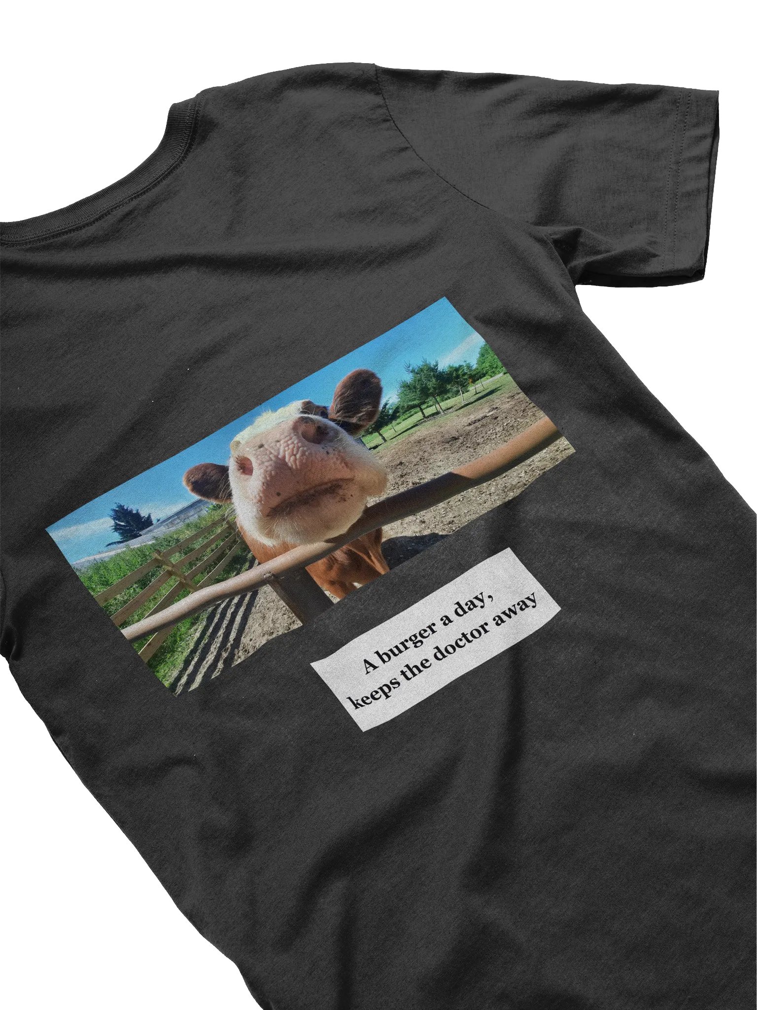 A burger a day... product image (34)