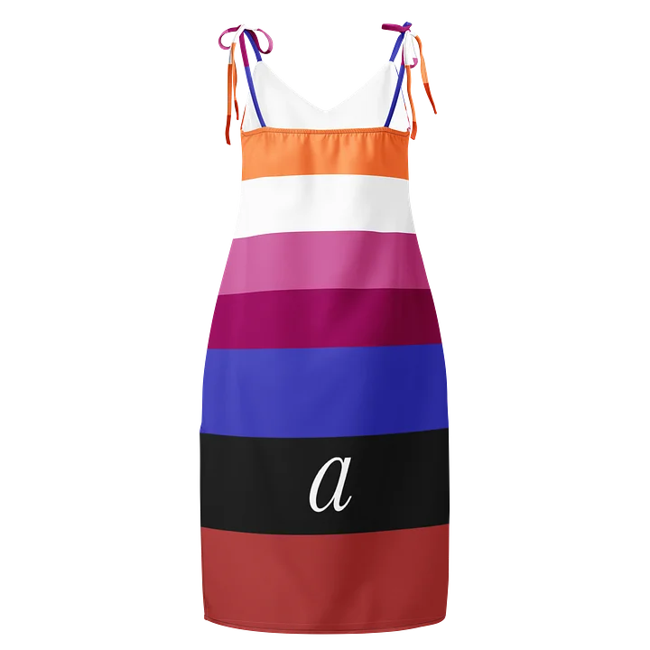 Lesbian Ambiamorous Pride Slip Dress product image (2)