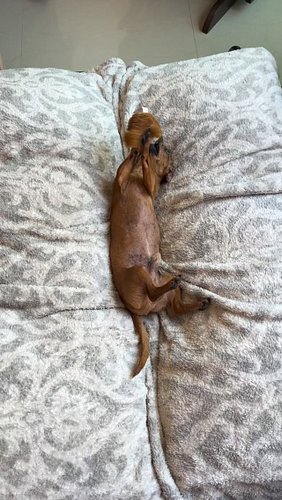 Chiquitin and the gang wish you a happy day.