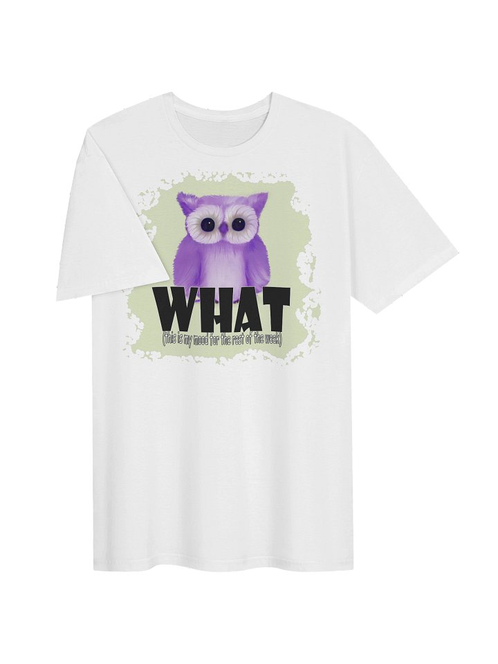 Unisex Gildan Softstyle T-Shirt product image (2)
