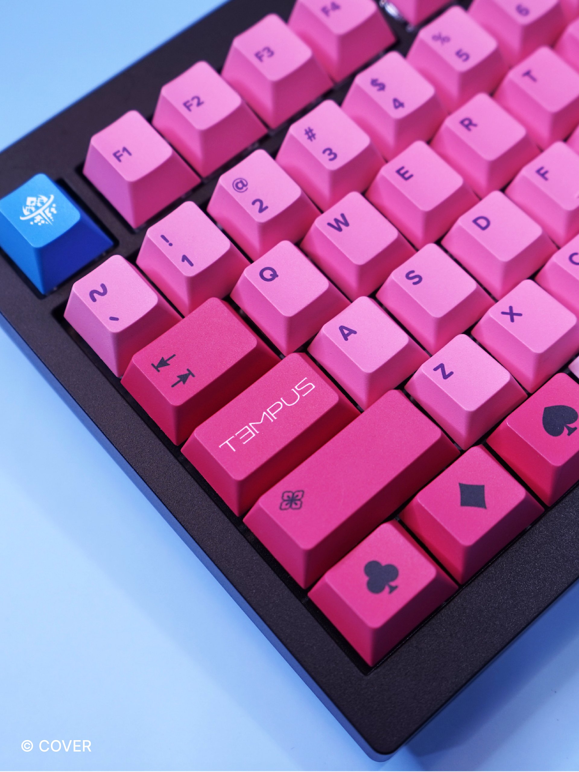 [PRE-ORDER] Gavis Bettel Keyboard product image (6)