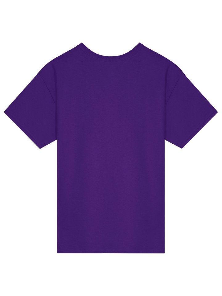Vote Responsibly Shirt product image (6)