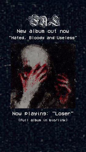 DSBM | Blackgaze | Postwhiskycigarettegaze
New album: Hated, Bloody and Useless (instrumental)
Out now on YouTube, all stream...
