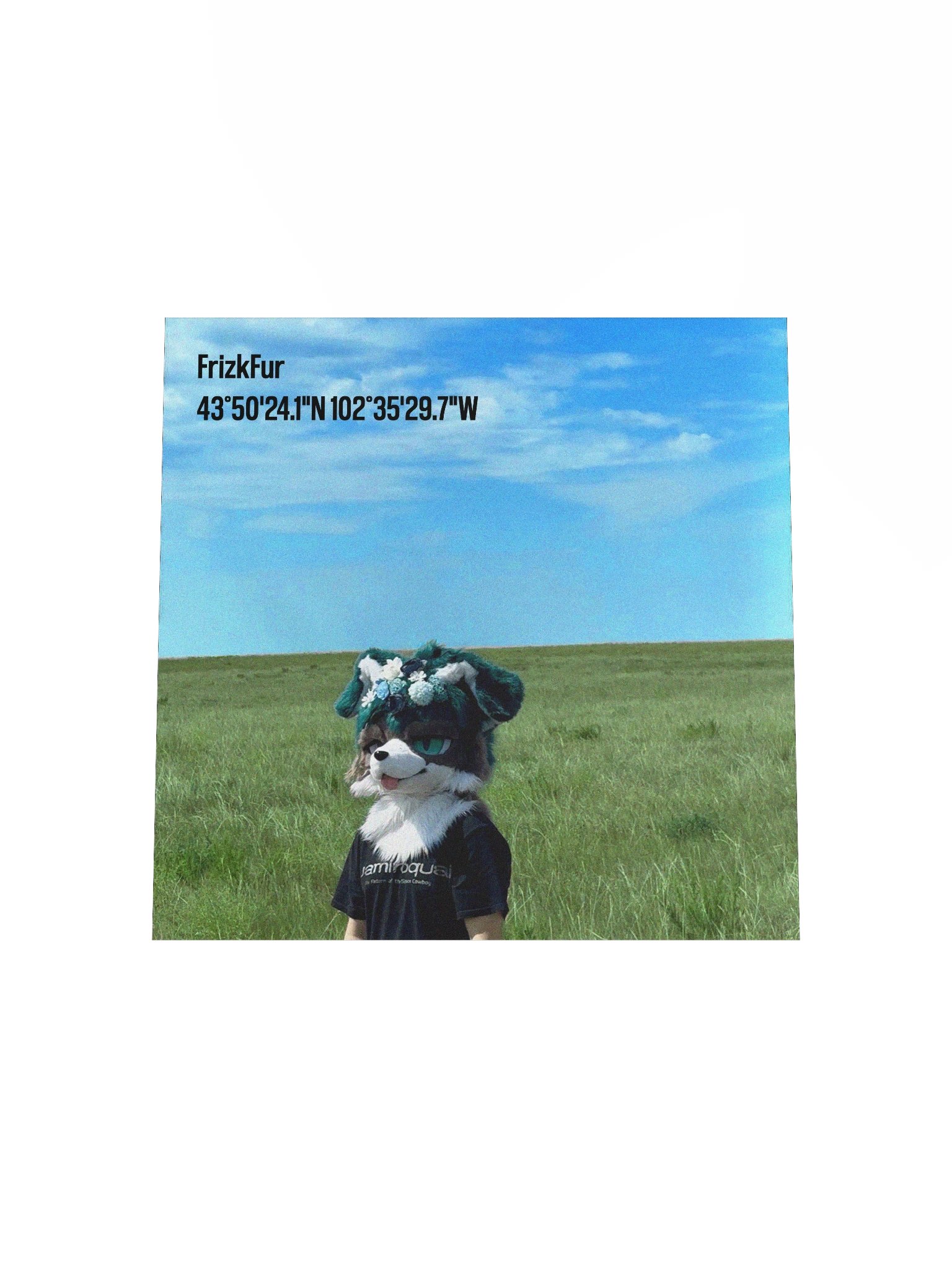 Scenic Frizk product image (4)