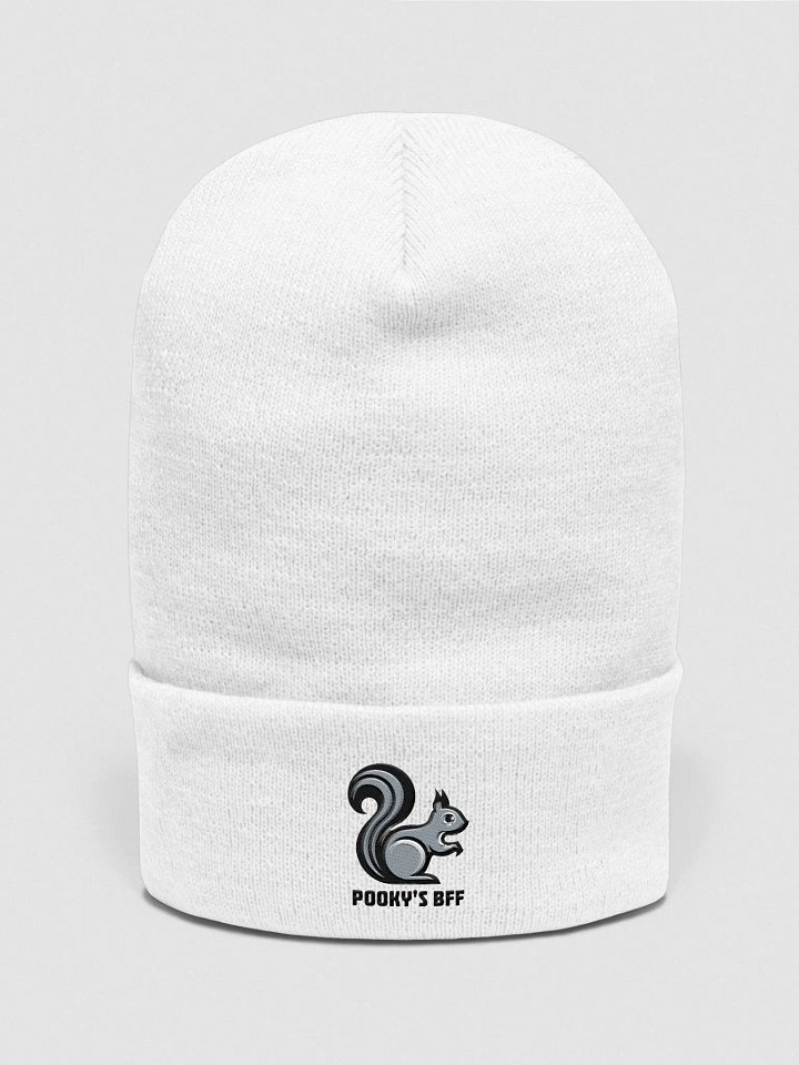 Pooky's BFF 60s Vibe Supersoft Beanie product image (1)