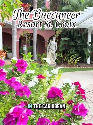 @thebuccaneerstcroix is one of my all-time favorite beach resorts! 😍 A few reasons to book a trip:  🏖️Three fantastic beaches 🌊 Gorgeous villas with spectacular ocean views 🦀 Three restaurants - one with chaise lounge service! 🔥 Fire dancing show on the beach ⛳️ Championship golf course 😌 Spa services 🌴 Beautiful lush landscaping 🍹 Caribbean history right on site 🌺 A five-minute drive to adorable Christiansted 🐚 Daily kids’ camp with crafts ⭐️ No passport needed - US territory! ✈️ Just a 3 hour flight from Miami  Learn more on my blog. Link in bio! #caribbean #caribbeanresort #familytravel #stcroix #usvi 