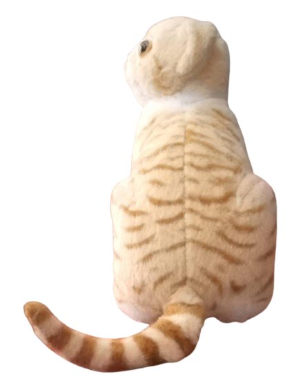 CAT SOFT TOY product image (4)