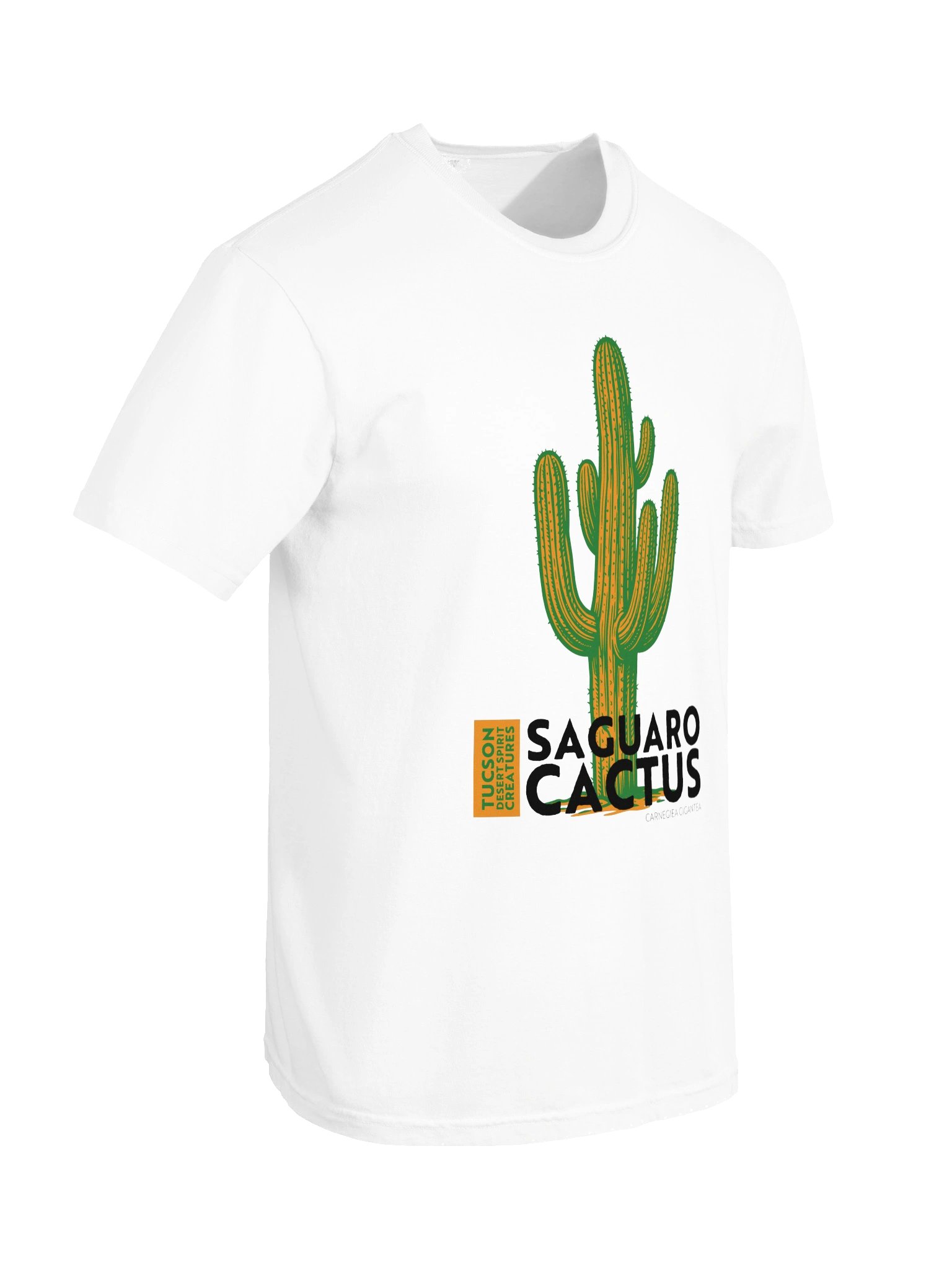 Saguaro Cactus product image (97)