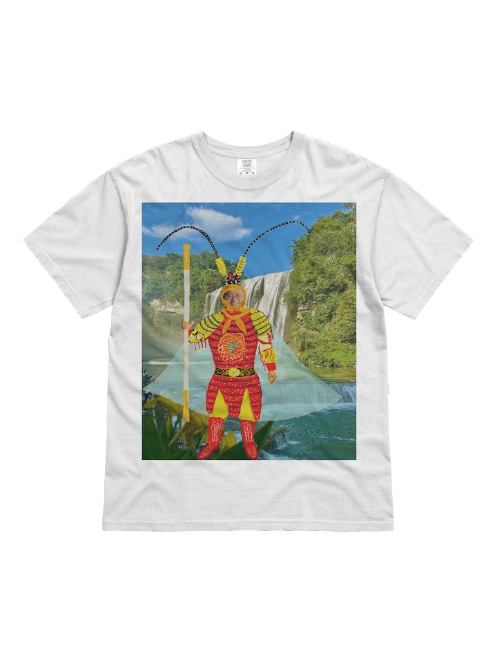Comfort Colors Garment-Dyed Heavyweight T-Shirt: James White Wukong product image (4)