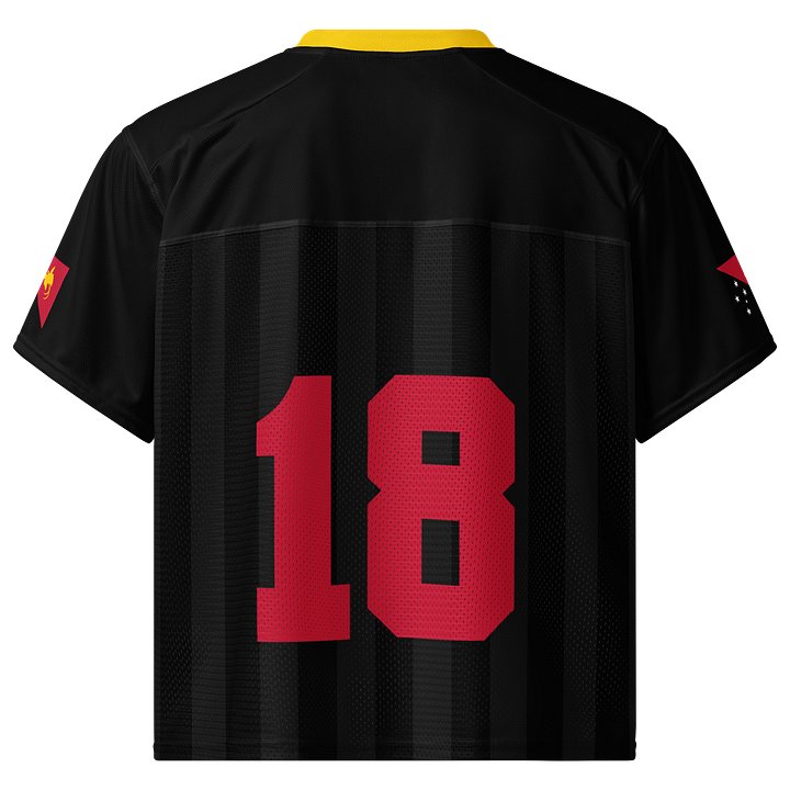 Papau New Guinea Boxy Sports Tee product image (2)