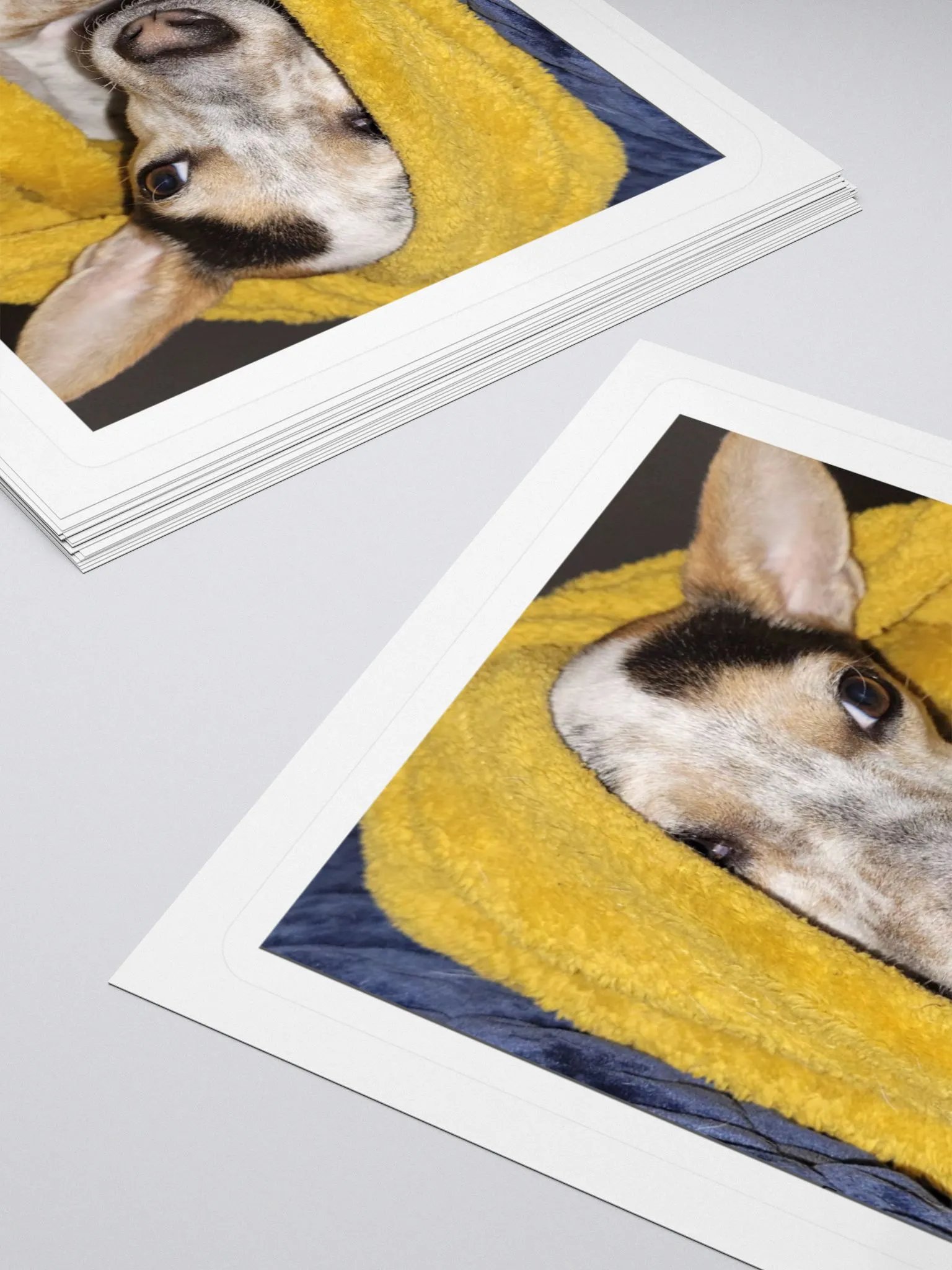 Bronx in Repose product image (11)