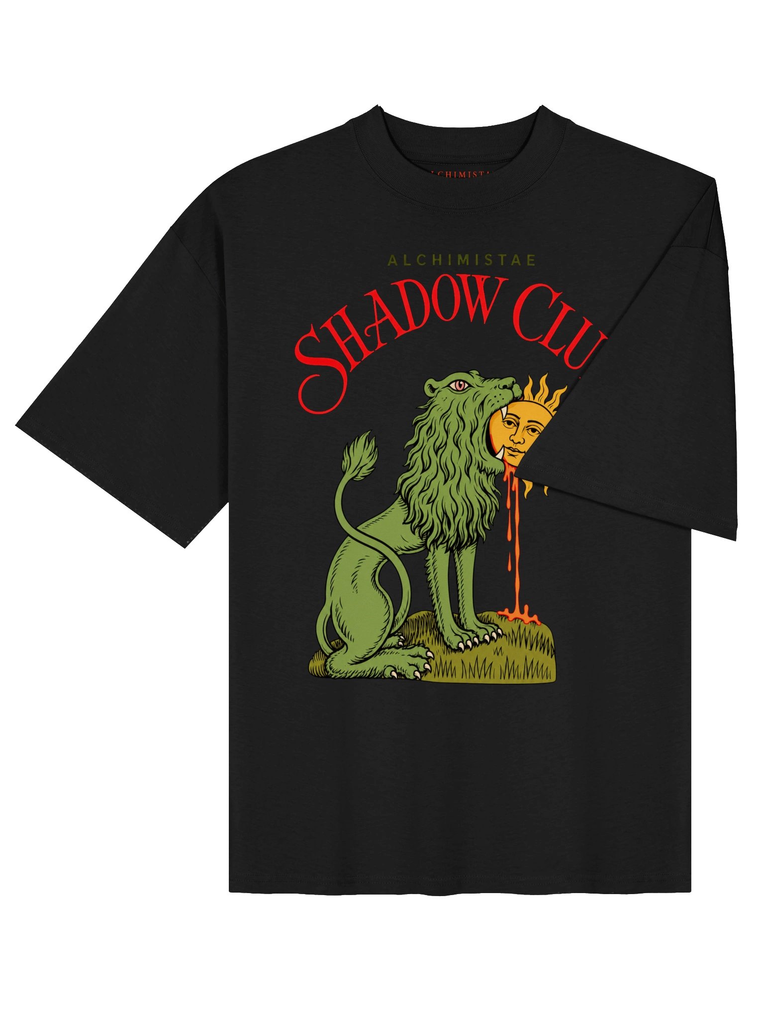 T-Shirt Unisex Oversize Coton Bio Poids Lourd - LION ALCHIMIQUE product image (10)