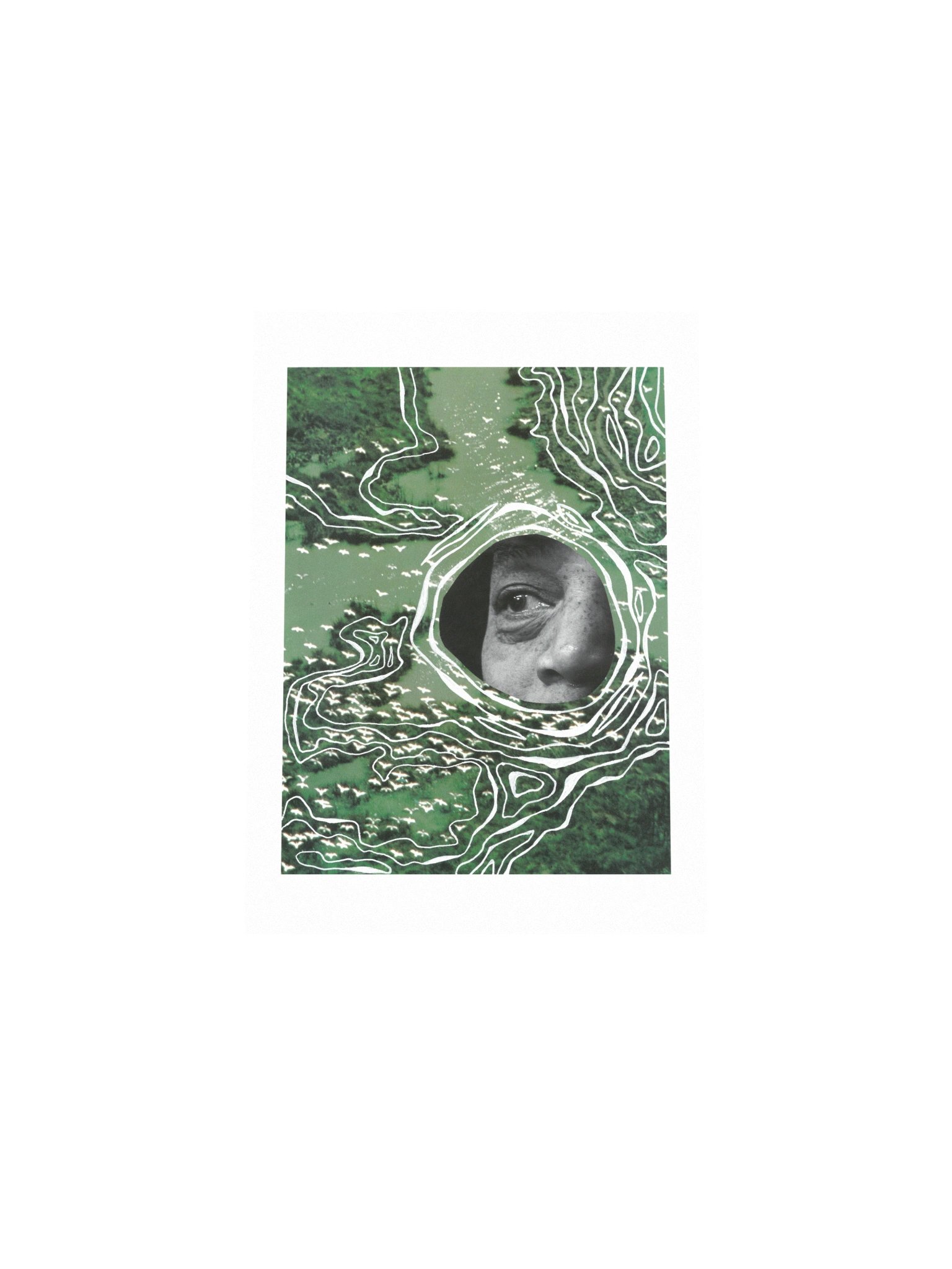 Acceptance product image (13)