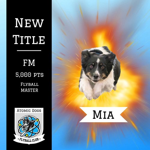 Celebrating a Flyball Master Title at 5,000 racing points in NAFA Flyball 🥳🎉
~
Congratulations to our Border Collie Mia and h...