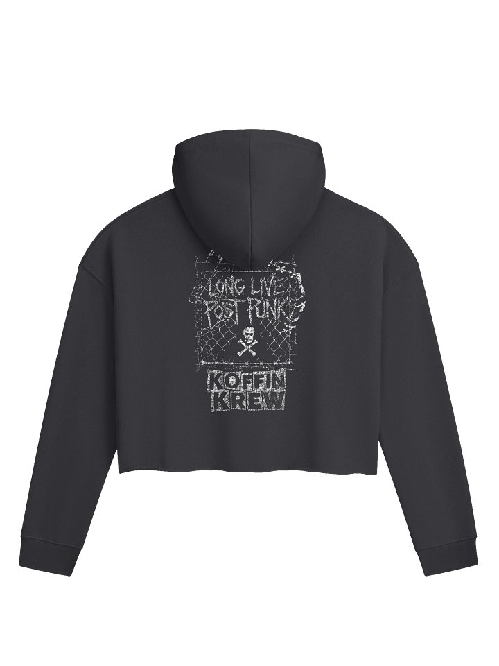Ministry Of Cults Womens Cropped Hoodie product image (2)