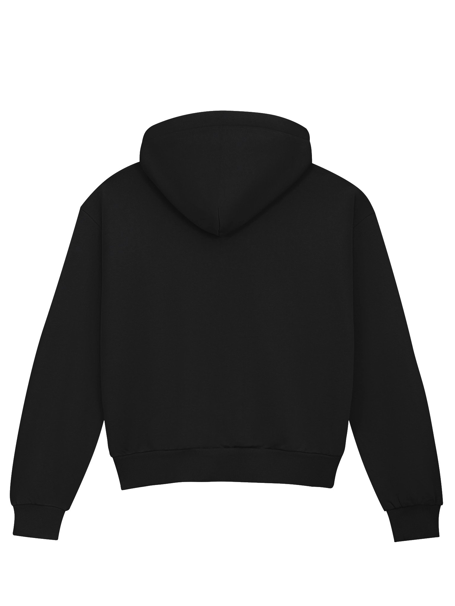 Santa Paws Christmas Hoodie product image (10)