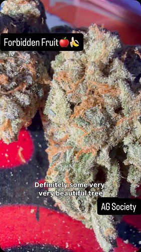 Forbidden Fruit 🍎 🍌 6.9/10 by @ag.society @kusheffect #explorepage✨ #trendingnow #bhoboyz #upncoming #lipbalm