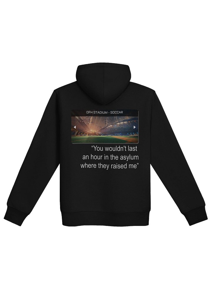 DFH Stadium A.K.A. "Insane Asylum" Hoodie product image (10)