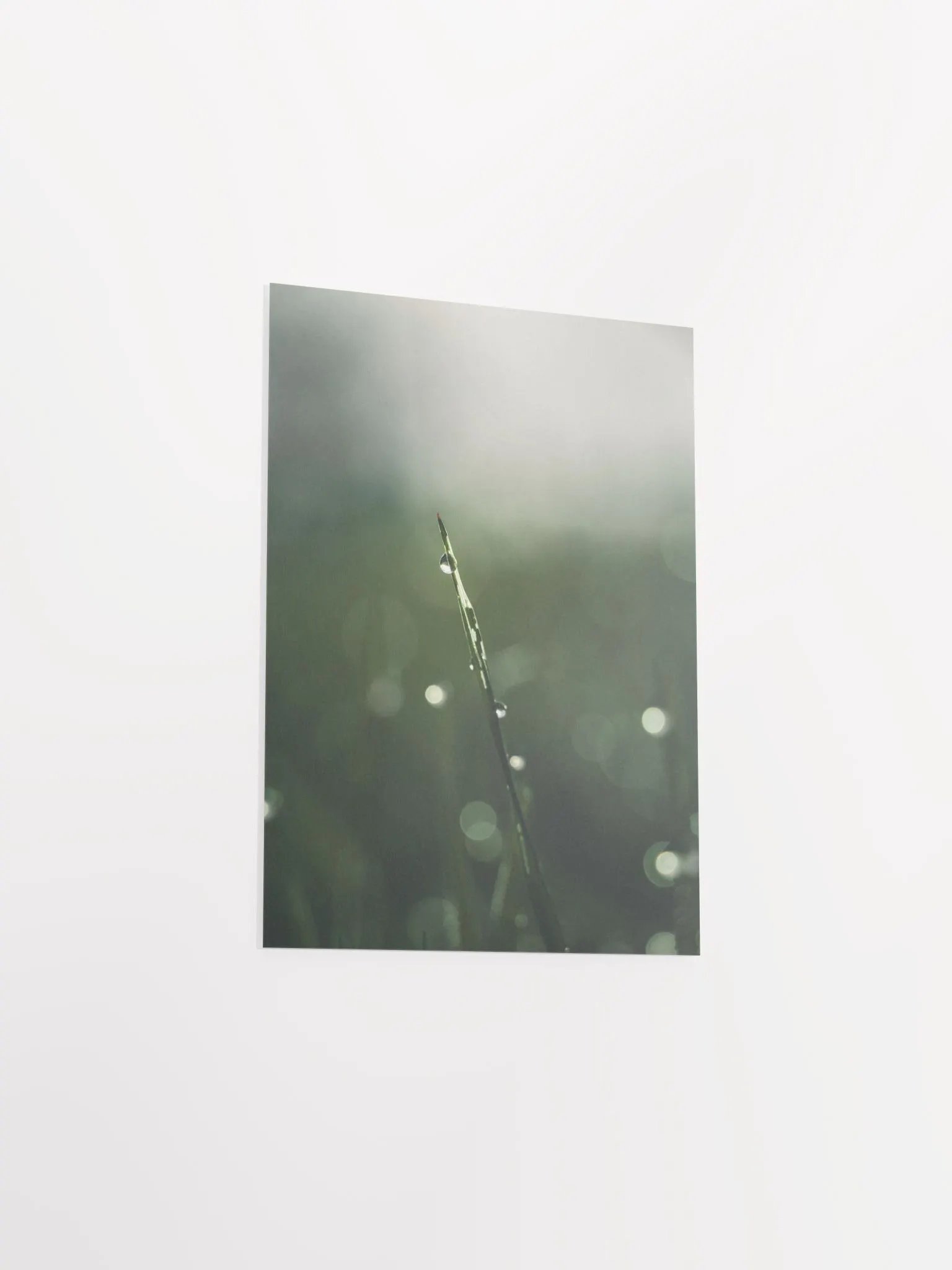 Lonely product image (10)